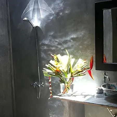 Hibiscus Villa-3
